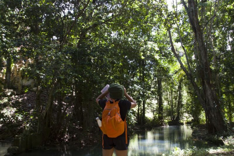 Sabana De La Mar: Los Haitises Park Bird-Watching Tour - Experience Highlights