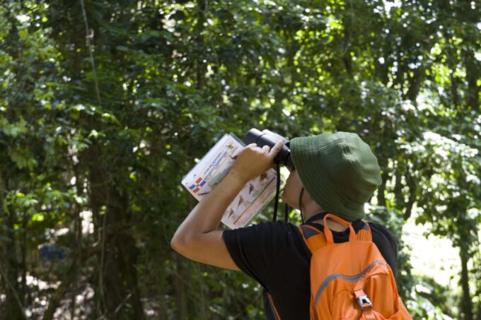 Sabana De La Mar: Los Haitises Park Bird-Watching Tour - What to Bring