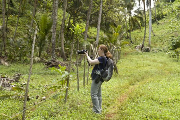 Sabana De La Mar: Los Haitises Park Bird-Watching Tour - Frequently Asked Questions