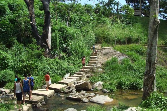 Sabeto Waterfall Tour (Nadi) - Health and Safety