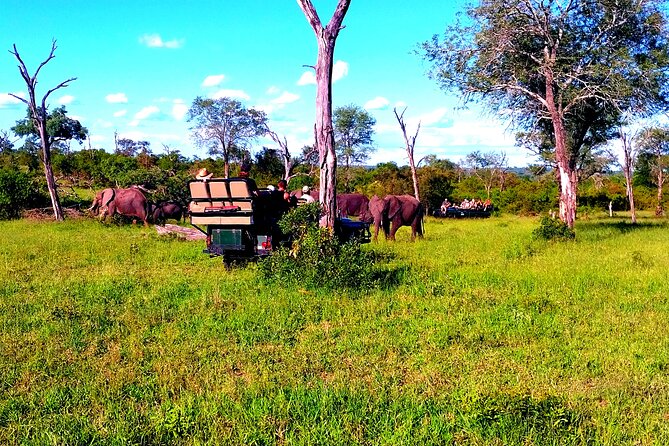 Sabi Sand Sunset Safari - Booking Process and Options