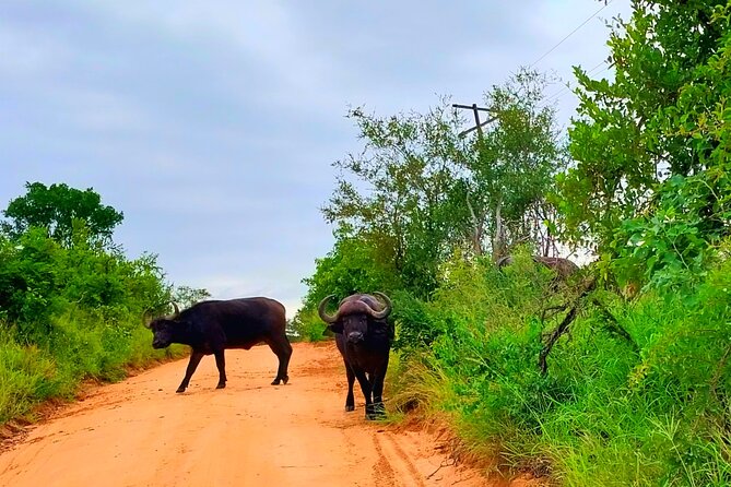 Sabi Sand Sunset Safari - Booking Your Stay