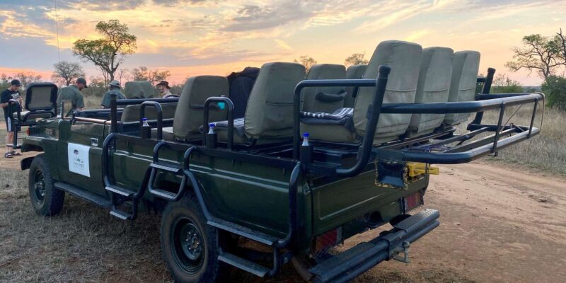 Sabie Game Reserve: Sunset Safari With Dinner - Experience Highlights