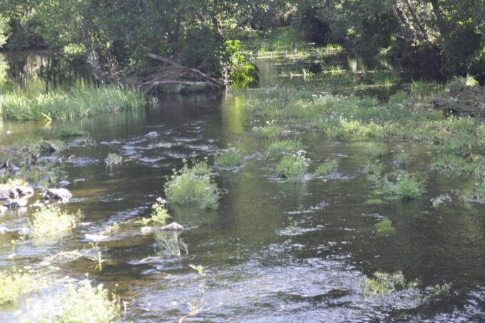 Sabugal Walking Tour: Stories and Charms of the Côa River - Meeting and Pickup