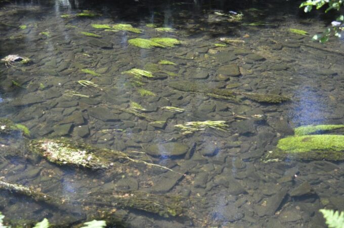 Sabugal Walking Tour: Stories and Charms of the Côa River - Difficulty and Fitness