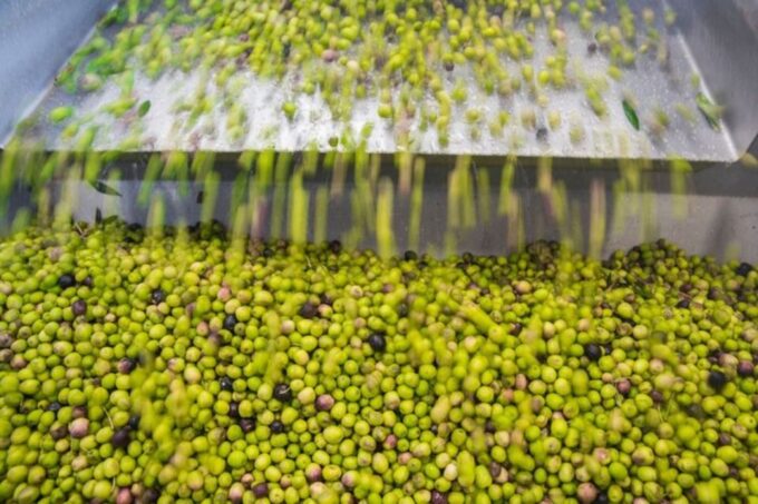 Sacramento: Capay Valley Tour - Lunch & Artisan Tastings - Customer Reviews