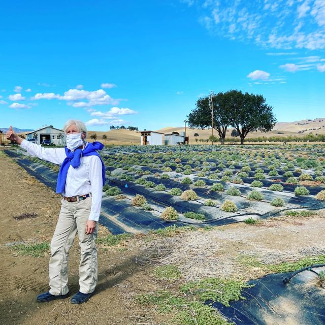 Sacramento: Capay Valley Tour - Lunch & Artisan Tastings - Frequently Asked Questions