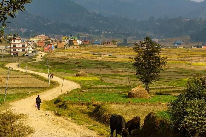 Sacred Footsteps: The Namobuddha-Panauti Day Hike Experience - Booking Information