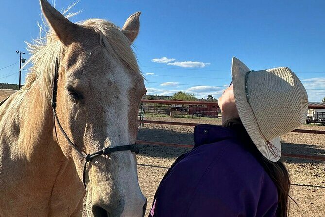 Sacred Horse Medicine Journey near Sedona - Analyzing the Value