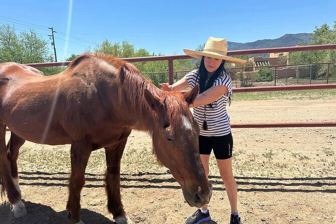 Sacred Horse Medicine Journey near Sedona - Final Thoughts