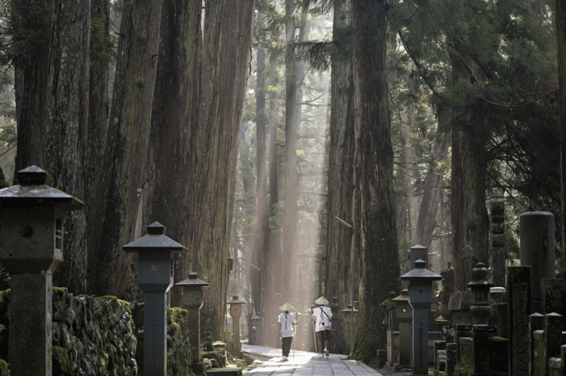 Sacred Koyasan: Meditation in Sanctuary to Purification - Tour Policies and Considerations