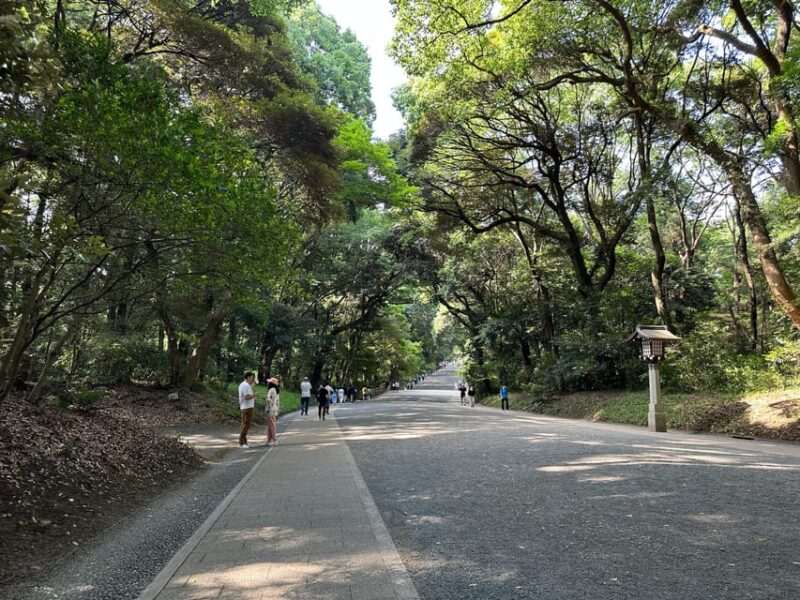 Sacred Morning Walk & Brunch-Meiji Shrine - Exploring the Shrines Forest