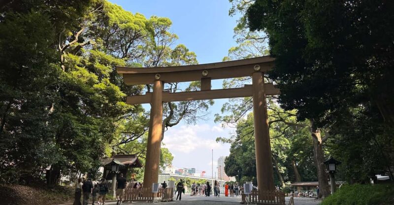 Sacred Morning Walk & Brunch-Meiji Shrine - Proper Shrine Etiquette