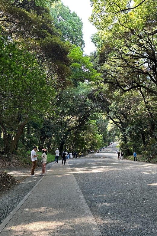 Sacred Morning Walk & Brunch-Meiji Shrine - Tranquil Oasis in Tokyo