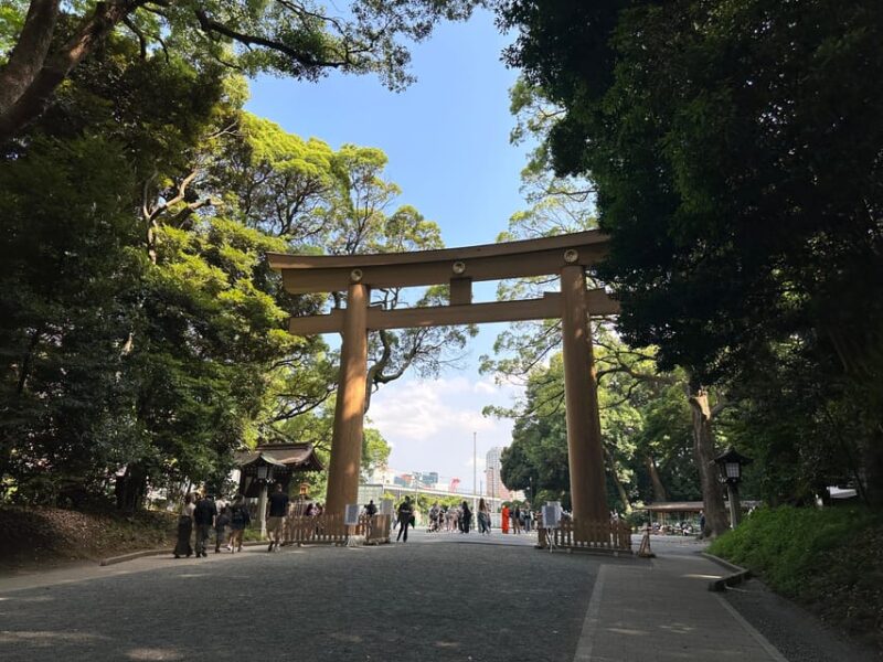 Sacred Morning Walk & Brunch-Meiji Shrine - Mystical Forest Atmosphere