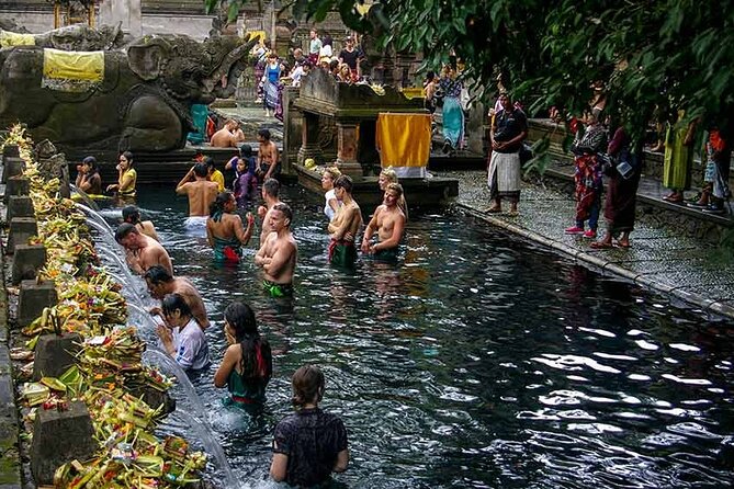 Sacred Places of Bali. Purification Ceremony in Indonesia - Reviews
