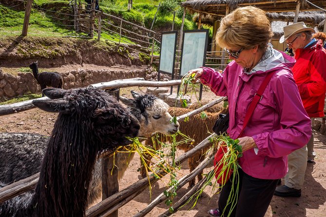 Sacred Valley + Machu Picchu With Peru Vip - Accessibility