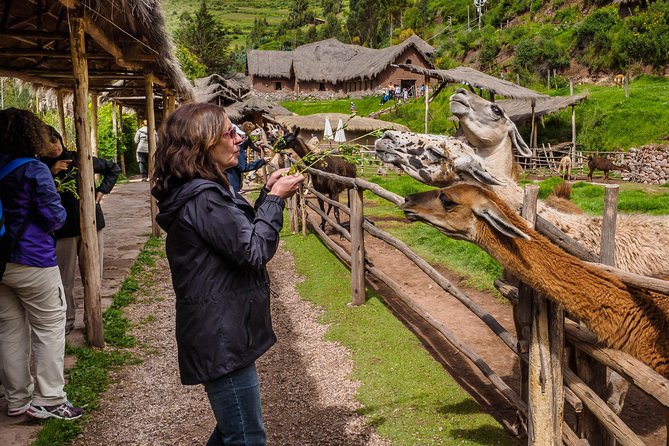 Sacred Valley + Machu Picchu With Peru Vip - Awana Kancha