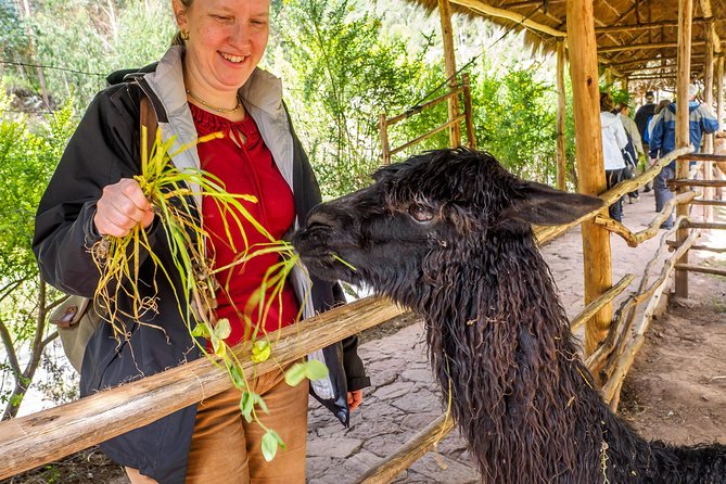 Sacred Valley + Machu Picchu With Peru Vip - Taray Observation Point