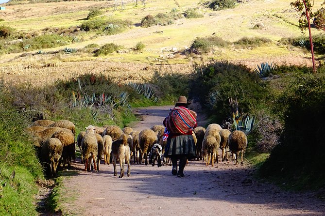 Sacred Valley of Incas 1 Day - Exploring the Sacred Valley