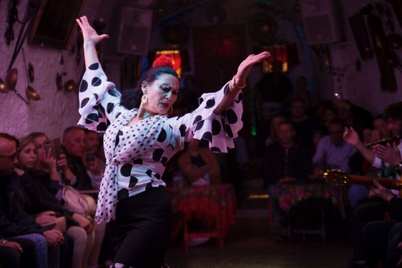 Sacromonte: Flamenco Show at Cuevas Los Tarantos Tickets - Flamenco Performance and Cast