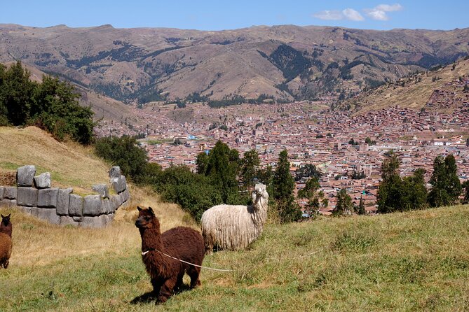 Sacsayhuaman Inca´s Temple, Tambomachay, Puca Pucara & Q`enqo Half-Day Tour - What to Expect