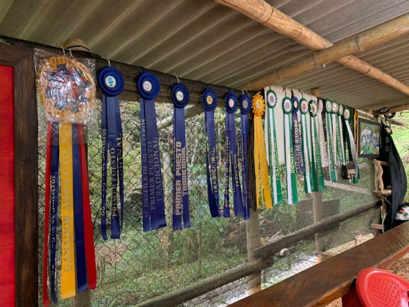 SADDLE TOUR - Key Points