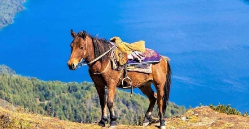 Saddle Up for a 1-Hour Horseback Riding Adventure in Pokhara - Key Points