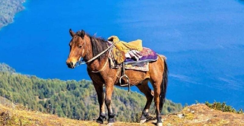 Saddle Up for a 1-Hour Horseback Riding Adventure in Pokhara - Adventure Highlights