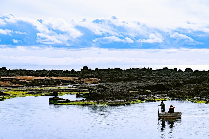 Sado Island Tour With Licensed Guide and Vehicle (Niigata Dep.) - Accessibility