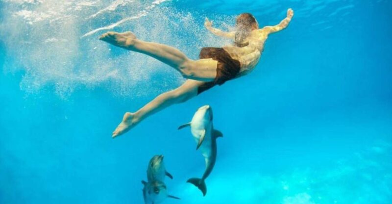 Safaga: Dolphin Watching Boat Tour With Private Transfer - Inclusions
