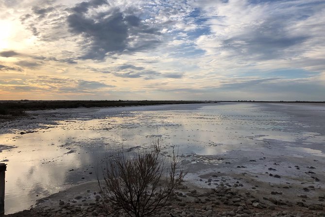 Safari 4x4 Camargue 2 Hours - Saintes Maries De La Mer - Private Tour - Accessibility Considerations