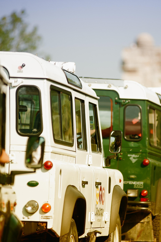 Safari 4x4 in Camargue / 3h30 / Grau Du Roi - Activity Highlights
