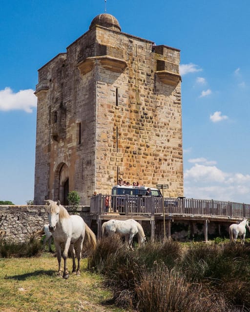 Safari 4x4 in Camargue / 3h30 / Grau Du Roi - Meeting Point and Accessibility