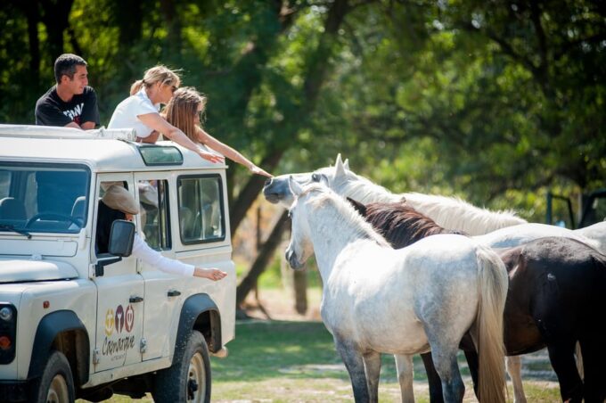 Safari 4x4 in Camargue / 3h30 / Grau Du Roi - Frequently Asked Questions