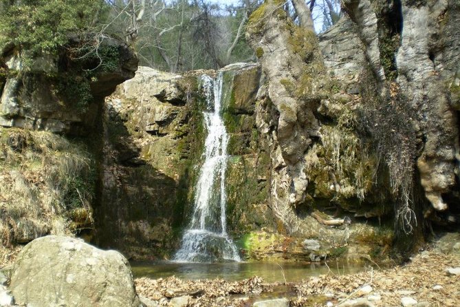 Safari 4x4 in Thassos - About Your Stay