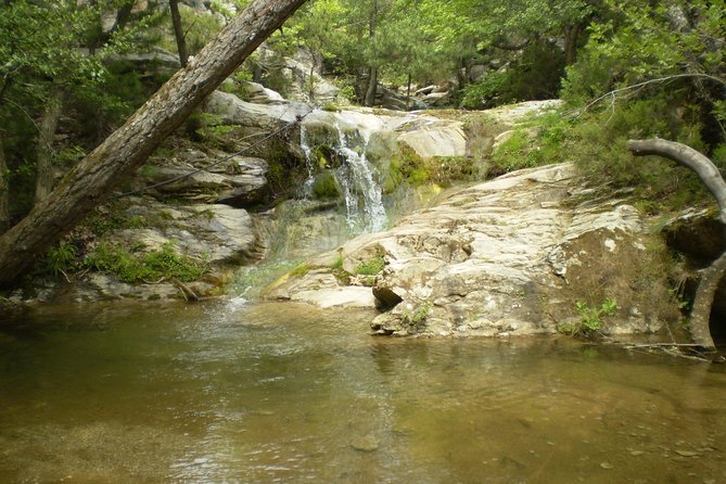 Safari 4x4 in Thassos - Exploring Kastro Village