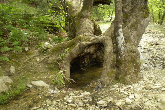 Safari 4x4 in Thassos - Worth The Stay