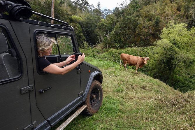 Safari 4x4 Pico Arieiro Santana in Small Group FlowerEAST - Cancellation Policy