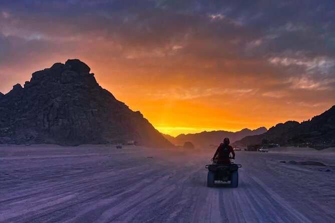 Safari 5 in 1 Quads, Camels, Show, Dinner & Star Gazing in Sharm El Sheikh - Captivating Camel Ride Experience