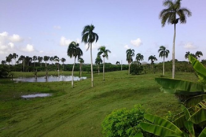 Safari Adventure - Full Day - From Punta Cana - Tour Overview