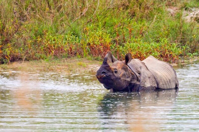 Safari Adventure in Bardia - Location and Park Details
