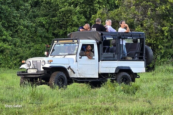Safari Adventure in Minneriya national Park Sri Lanka - A Detailed Look at the Minneriya Safari Experience