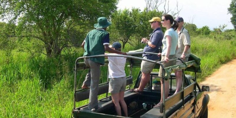 Safari Adventure:Udawalawe National Park Half-Day Expedition - Exploring Udawalawe National Park