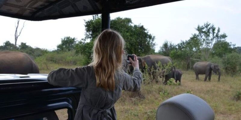 Safari Adventure:Udawalawe National Park Half-Day Expedition - Birdwatching Opportunities