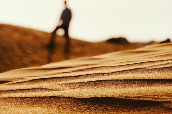 Safari and Barbecue Dinner in the Dubai Desert - Reviews