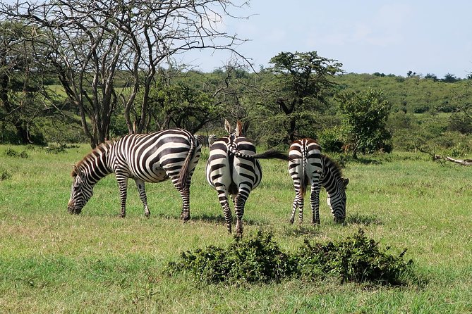 Safari And Beach Vacations - Pricing and Cancellation Details