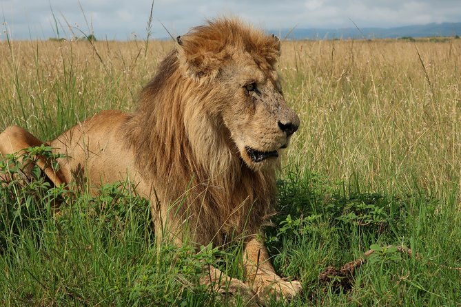 Safari And Beach Vacations - Safari and Beach Itinerary