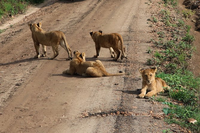 Safari And Beach Vacations - Recommended Packing and Preparation