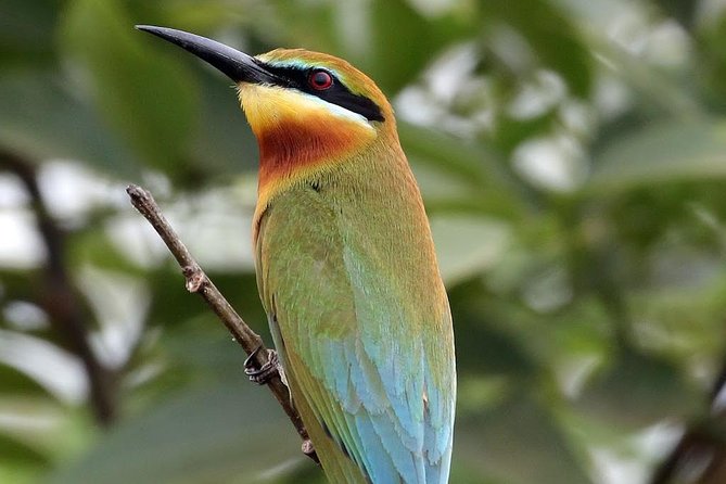Safari at Udawalawe National Park - Safari Duration and Itinerary